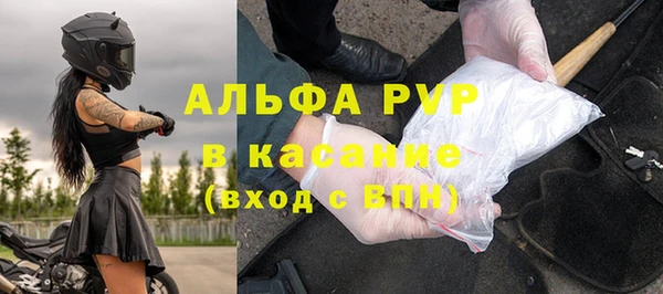 гашик Покров
